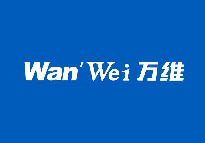 技术全链条服务体系 从开发到咨询的一站式赋能